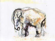 Animals 4