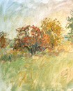 Landscape 1