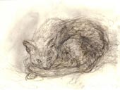 click to enlarge ~ animals