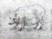 click to enlarge ~ animals