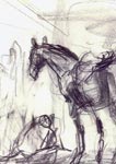 Horses